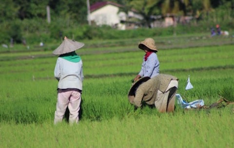 Ilustrasi. FOTO: MI/AMIRUDDIN ABDULLAH REUBEE