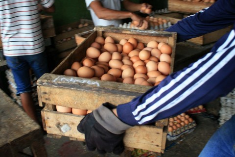 Telur Ayam Ras. MI/Angga Yuniar