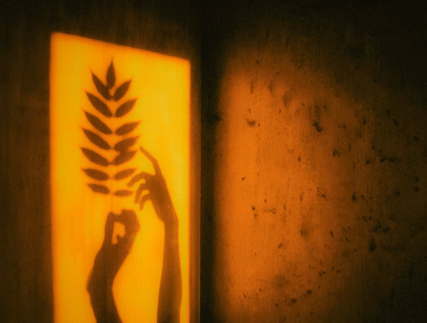Foto: Pexels.com