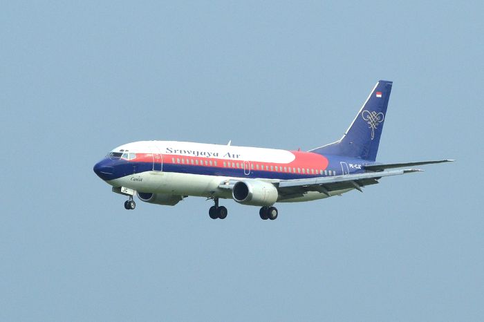 Ilustrasi pesawat Sriwijaya Air. MI