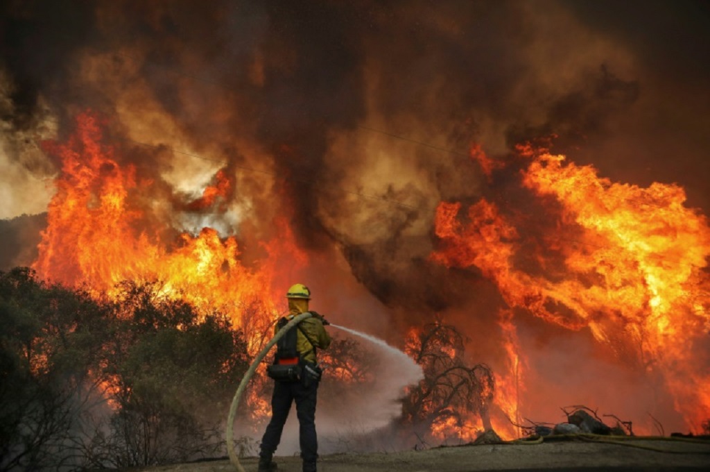 Kebakaran Hutan Disebut Rawan Terjadi di Tana Toraja dan Gowa