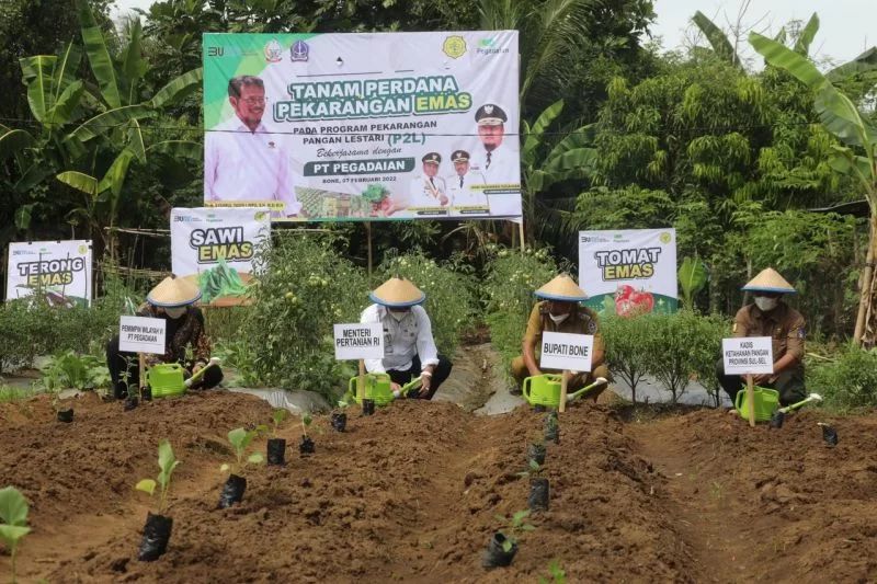 Menteri Pertanian Syahrul Yasin Limpo saat menghadiri peluncuran Pekarangan Emas di Tanete Riattang Barat, Senin, 7 Februari 2022). Foto: Antara/HO-Kementerian Pertanian