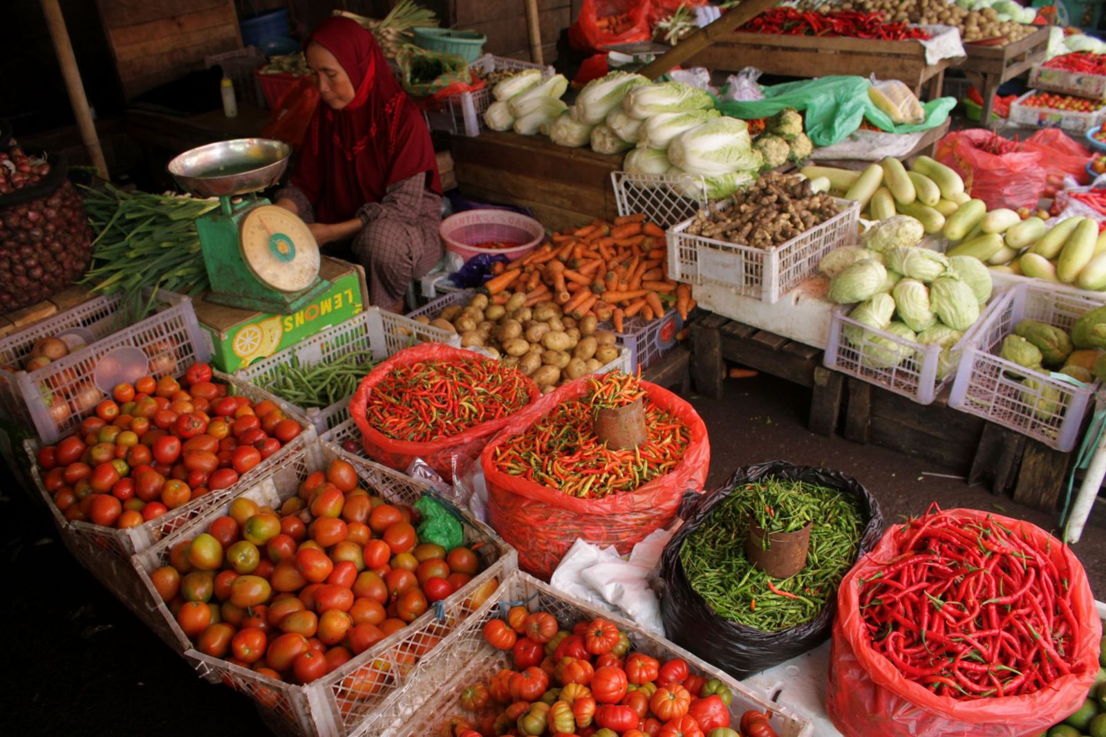 Pedagang membersihkan cabai rawit di Pasar Terong Makassar, Sulawesi Selatan. Foto: Antara/Arnas Padda 
