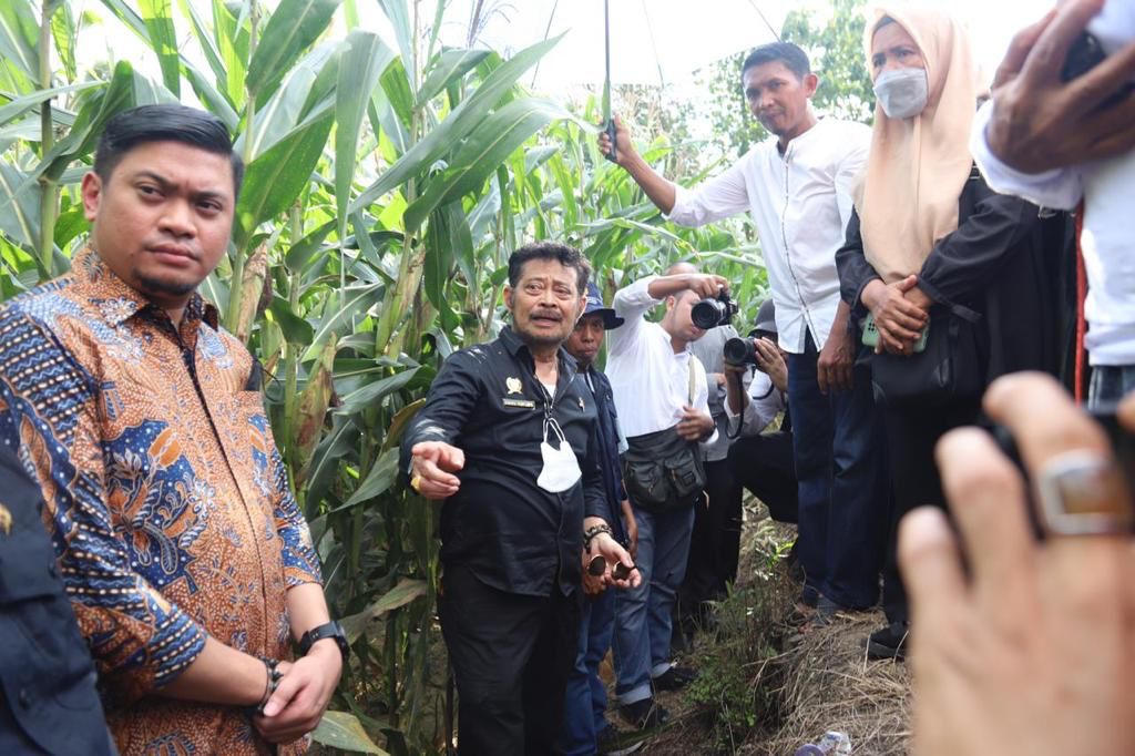 Menteri Pertanian (Mentan) Syahrul Yasin Limpo. Foto: Ist/Kementan