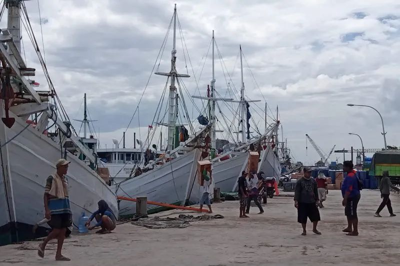 llustrasi perahu phinisi yang digunakan sebagai sarana transportasi laut antarpulau di Pelabuhan Rakyat Paotere, Makassar. Antara / Suriani Mappong