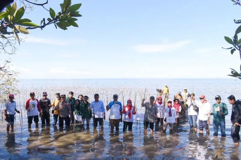 Sejumlah komunitas dan pejabat pemerintah di Sulsel bergerak bersama melakukan penanaman mangrove untuk menjaga lingkungan pesisir.ANTARA/HO