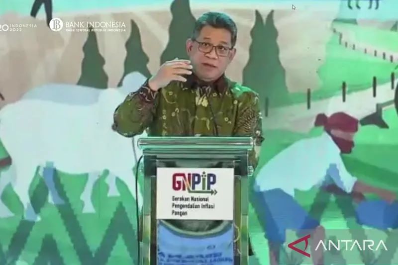 Tangkapan layar - Deputi Bank Indonesia Doni Primanto Juwono dalam Peluncuran Gerakan Nasional Pengendalian Inflasi Pangan (GNPIP) Sulawesi Selatan yang dipantau di Jakarta, Senin (24/10/2022). ANTARA/Sanya Dinda.