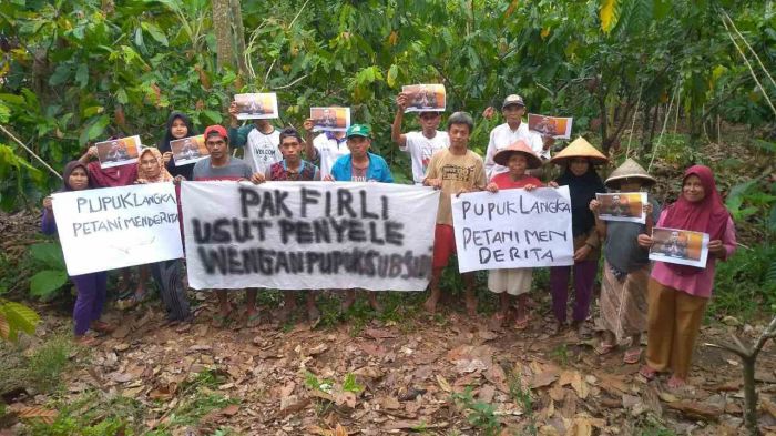 Sejumlah petani kakao di Kabupaten Luwu Timur, Sulawesi Selatan, meminta Ketua KPK Firli Bahuri untuk menelisik potensi penyelewengan