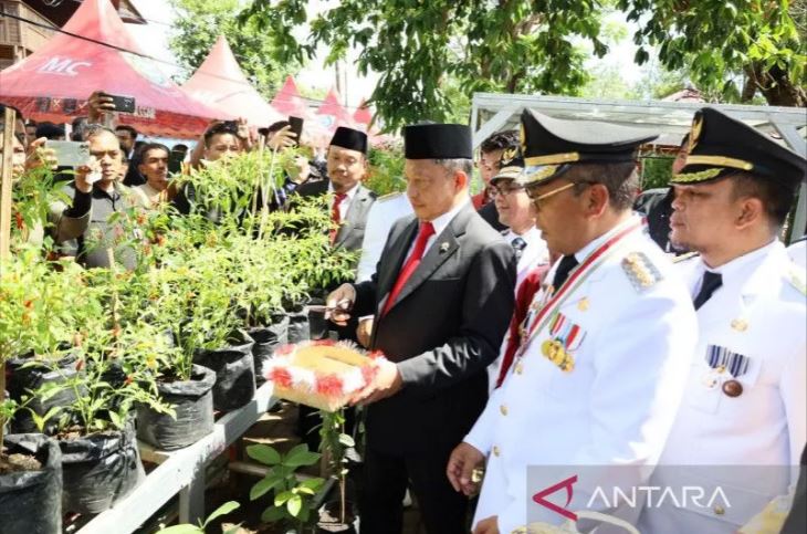 Mendagri Tito Karnavian didampingi Wali Kota Makassar Moh Ramdhan Pomanto saat panen cabai di Lorong Wisata Sydney, Kecamatan Tallo, Makassar, Sabtu (29/4/2023). Foto: ANTARA