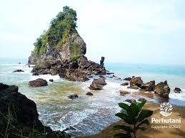 Karang pantai. Perhutani