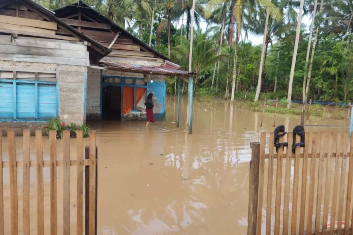 Kondisi rumah warga yang terendam banjir di Kabupaten Buol, Rabu (20/9/2023). (ANTARA/HO-BPBD Sulteng)
