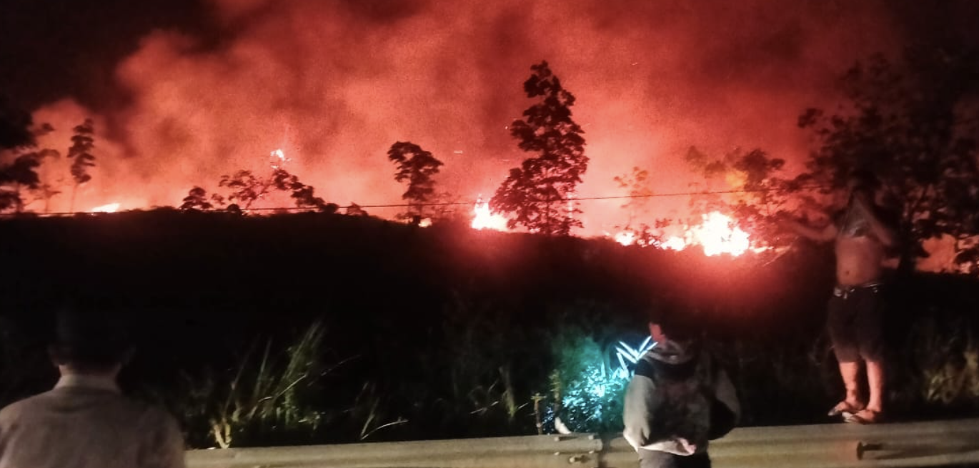 10 Hektare Hutan dan Lahan Terbakar di Morowali Utara